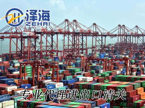 深圳進口清關(guān)全程管家服務(wù)與技術(shù)進出口指南