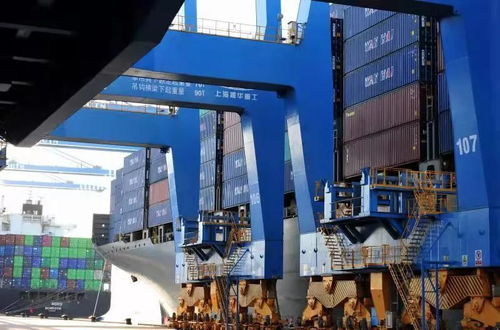 標(biāo)桿城市的期中答卷 貨物進出口成績亮眼