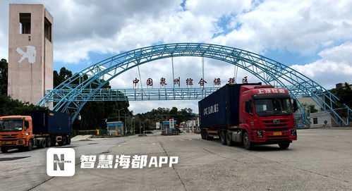 集拼出海，技術貿易雙驅動 前7個月泉州市保稅物流進出口突破百億大關